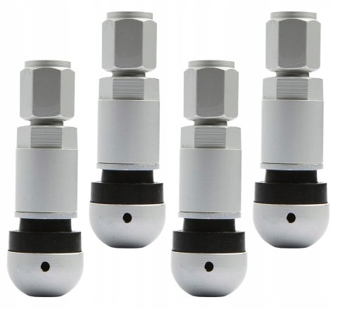 Zawór Wentyl do czujnika ciśnienia BERU TPMS-05 - 4 sztuki Zawór Wentyl do czujnika ciśnienia BERU TPMS-05 - 4 sztuki